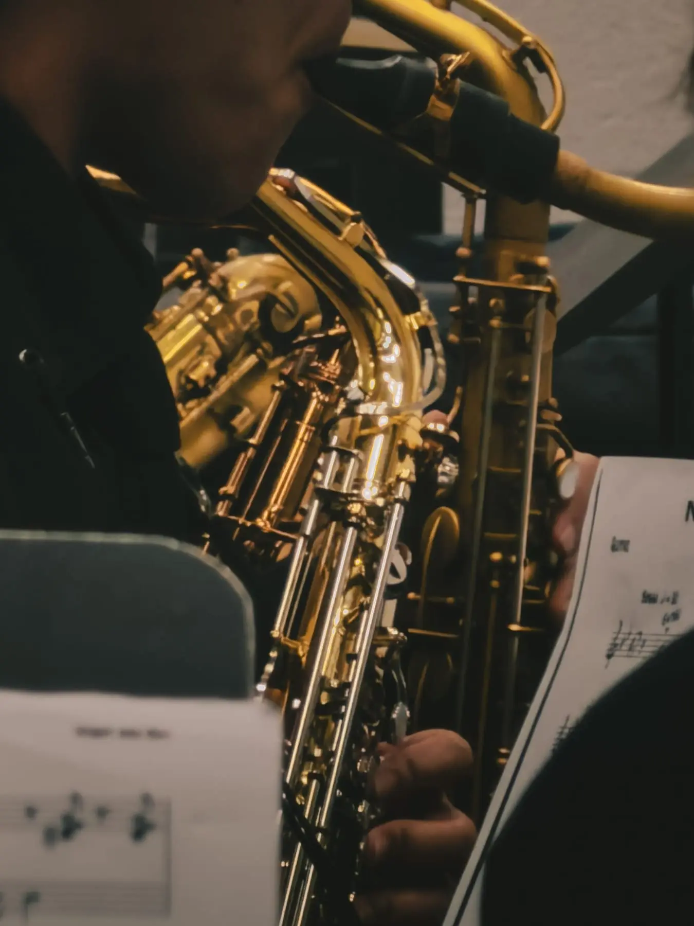 2026 Jazz Festival, photo 1
